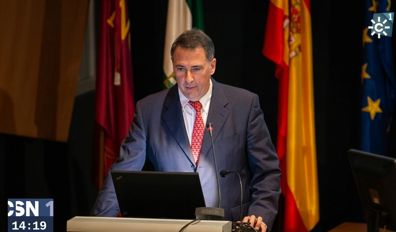 conferencia video canal sur